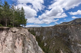 Nikaragva