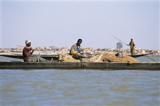 niger