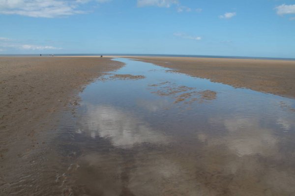 諾福克島