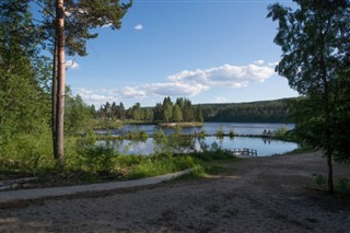 Norveç
