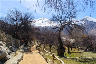 پاکستان
