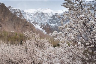 pakistan