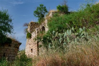 Палестинская