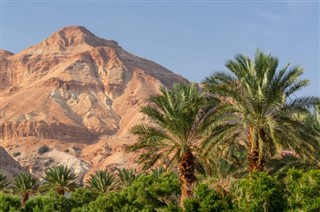 Palestijns