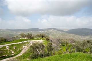 Palestínskeho