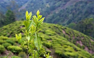 Парагвай