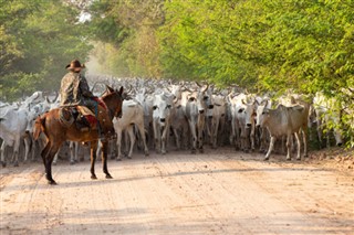 Paraguay