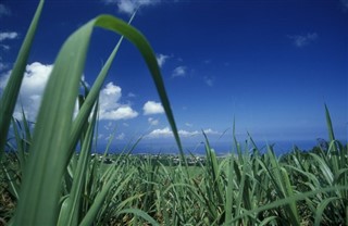 Réunion