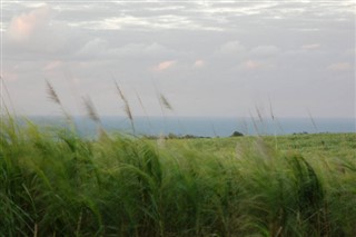 ரீயூனியன்