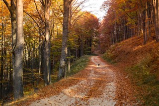 România