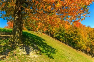 Румунія