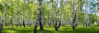 Русия