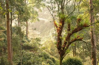 Rwanda dự báo thời tiết Rwanda