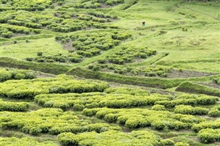 রুয়ান্ডা