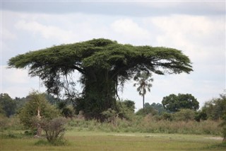 রুয়ান্ডা