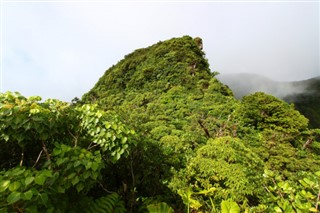 সেন্ট