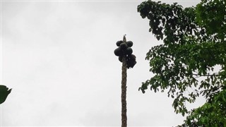 圣多美和普林西比