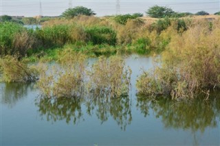 サウジアラビア