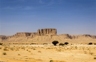 سعودی