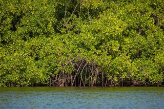 Senegal