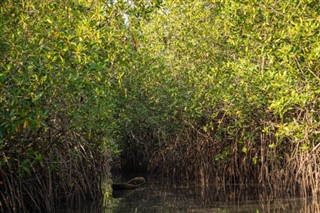 Senegal