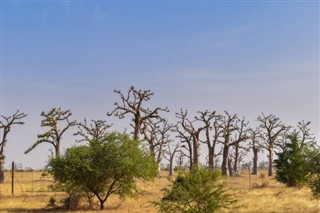 Senegal