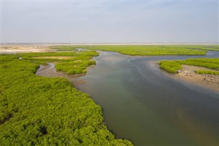 সেনেগাল