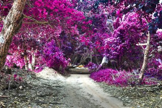 Seychellen