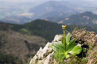 Slovensko