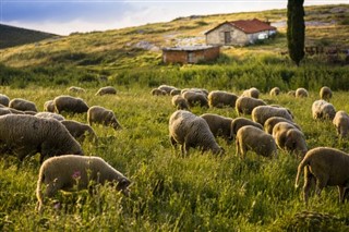 Slovensko