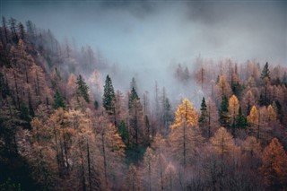 Slovėnija