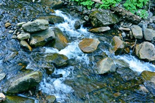 Slovēnija