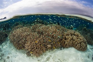 ソロモン諸島