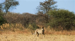 Somalië