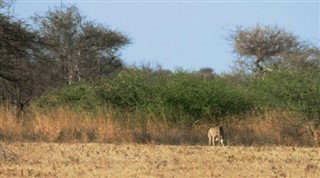 Somalia