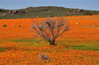 جنوب