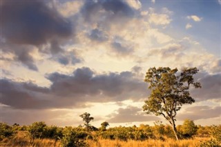 África