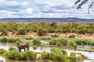 Zuid-Afrika