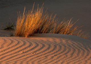 Zuid-Afrika
