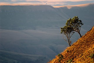 جنوبی