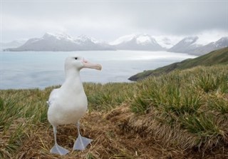 南喬治亞南三明治群島