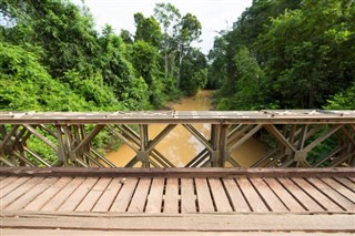 Surinamas