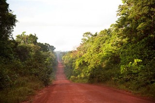 সুরিনাম