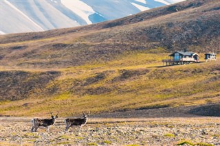 Svalbard Prognoza meteo Svalbard