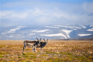 Svalbard