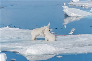 Шпицберген