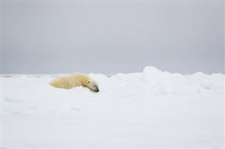 Svalbard