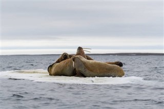 スバールバル諸島