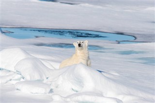 Svalbard