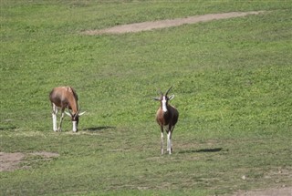 Swaziland dự báo thời tiết Swaziland